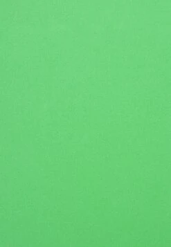 Anna Field Blazer - Green -Anna Field Boutique 8df20caaefcc4e42bc49196679cd30be